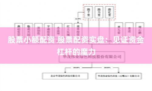 股票小额配资 股票配资实盘：见证资金杠杆的魔力