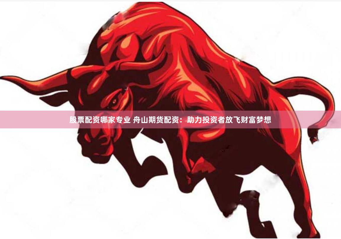 股票配资哪家专业 舟山期货配资：助力投资者放飞财富梦想